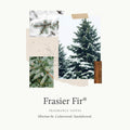 Thymes Frasier Fir Candles - Statement Collection - Silver with Pine Needle Design - Scented Candles for Home Decor - Notes of Siberian Fir