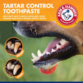 Arm & Hammer for Pets Tartar Control Enzymatic Toothpaste for Dogs Reduces Plaque & Tartar Buildup Safe for Puppies Beef Flavor, 2.5 Ounces Dog