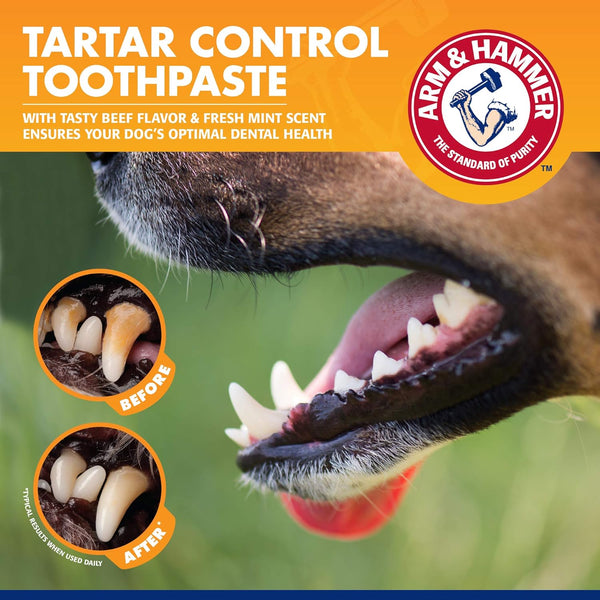 Arm & Hammer for Pets Tartar Control Enzymatic Toothpaste for Dogs Reduces Plaque & Tartar Buildup Safe for Puppies Beef Flavor, 2.5 Ounces Dog