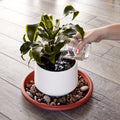 Juvale 8-Pack round Plastic Plant Saucer Drip Trays, Terracotta Flower Pot Saucers, Dish for Indoors, Outdoors, Garden, Potted Plants, Patio,