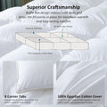 Luxurious All-Season Goose down Feather Fiber Comforter Queen Size Duvet Insert, Premium White Solid Plain Design, Premium Baffle Box, 100%