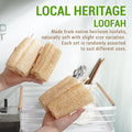 Natural Vietnamese Loofah Sponge, 100% Plant-Based Luffa Exfoliating Body Scrubber for Shower, Multi-Functional for Kitchen, Ideal for Men &