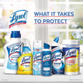 Lysol Toilet Bowl Cleaner Gel, for Cleaning and Disinfecting, Stain Removal, Forest Rain Scent, 24Oz