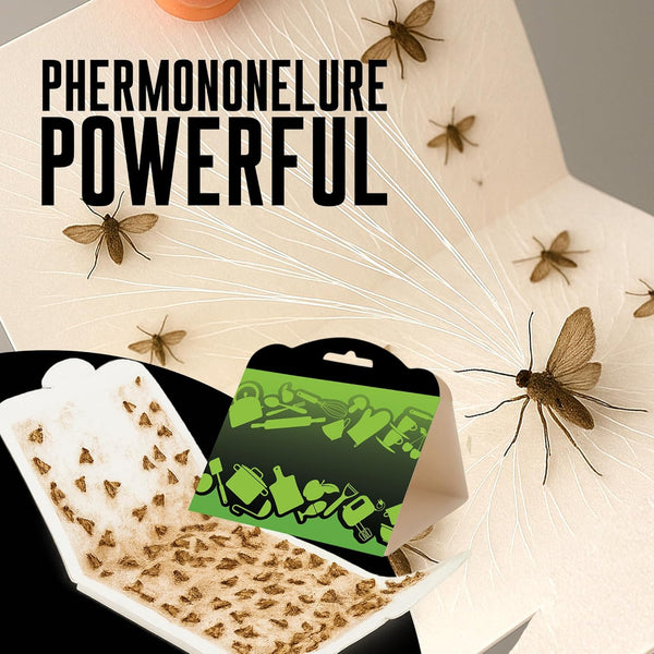 MothMag Pantry Moth Traps with Pheromones – 6 Pack, Non-Toxic Insect Killer for Kitchen, Cupboards, and Food Storage – Indoor Pantry Moth Glue