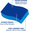 Elitra Essentials Scrubber Sponge, Non-Scratch Hydrophilic Foam Technology - Odor Resistant, Curved Grip, Dual-Sided Foam & Acrylic Grain Surface,