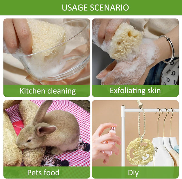 Natural Loofah Sponge Shower Organic Luffa Bath Loofa Exfoliating Body Scrubber Loofah for Men Women Adults Back Face Body Skin SPA Care - 6 Pieces