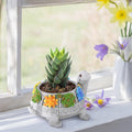 LESES Turtle Succulent Pot Planters for Indoor Plants with Drainage Hole, Flower Garden Cute Pots for Plants, Succulent, Cactus Home Office Desk