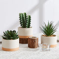 Artificial Succulent Plants in Ceramic Pots, Faux Assorted Succulents Fake Cactus Plants for Home Decor, Bedroom, Office, Desk, Living Room, Set