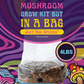 4 LB All-In-One Grow Kit: up to 64Oz of Mushrooms! Nutrient-Enhanced, Injection Port, Just Add Your Own Spores & Grow like Magic (4 LB Bag)