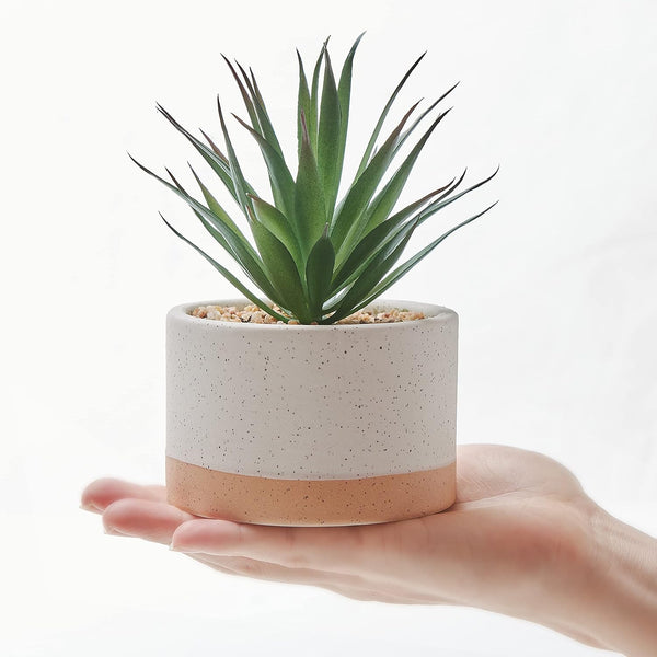 Artificial Succulent Plants in Ceramic Pots, Faux Assorted Succulents Fake Cactus Plants for Home Decor, Bedroom, Office, Desk, Living Room, Set