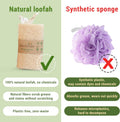 Natural Vietnamese Loofah Sponge, 100% Plant-Based Luffa Exfoliating Body Scrubber for Shower, Multi-Functional for Kitchen, Ideal for Men &