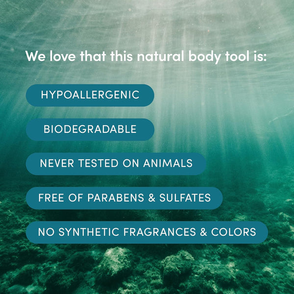 LATHER - Natural Sea Wool Sponge, 4-5" - Organic Exfoliating Body Scrubber - Soft, Gentle Cleansing - Hypoallergenic - All Skin Types - Florida