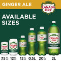 Canada Dry Zero Sugar Ginger Ale Soda, 12 Fl Oz Cans, 12 Pack