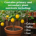 Down to Earth Organic Citrus Fertilizer Mix 6-3-3, 1 Lb