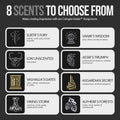 The Beard Struggle - Day Liquid Tonic Beard Oil - Silver Collection (Viking Storm) - Beard Oil for Men - Moisturize, Softens Hair, Reduces Itch -