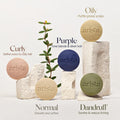 Arista Purple Shampoo Bar, Amla Fruit Powder, Purple Toner & Castor Oil, Moisturizing & Plastic Free Hair Soap, Sulfate Free Solid Shampoo Puck