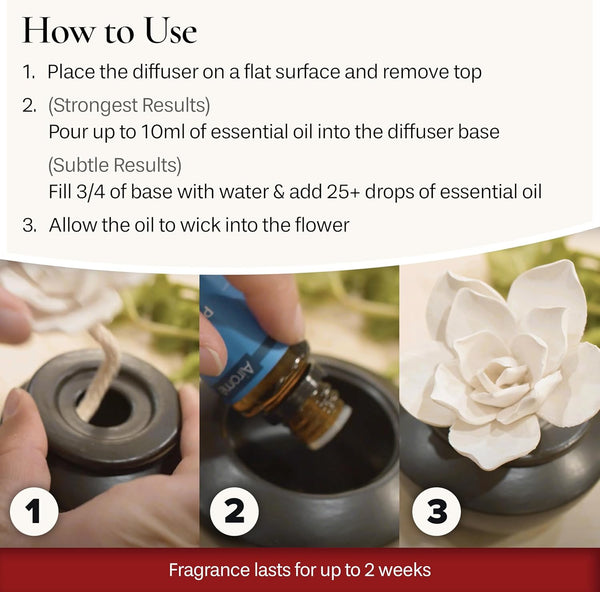 AiromÃ© White Succulent, Porcelain Passive Essential Oil Diffuser (With 15Ml Peppermint Essential Oil) â Non-Electric, Battery-Free, Improves