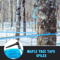 Plastic Maple Tree Taps - 50 Feet Tubing Line with 10 Pieces for Maple & Birch Syrup Supplies