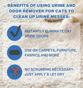 Instantly Urine Odor Remover & Eliminator for Cat Urine - Neutralizer of Cat Pee, Oxidized Based Urine Cleaner Solution for Carpets, Rugs,