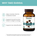 Himalaya Guggul - Herbal Liver Support for Liver Detox, Cholesterol, HDL & LDL Support - Vegan, Non-GMO, Gluten Free, 720 mg, 60 Capsules 60 Count