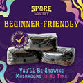 4 LB All-In-One Grow Kit: up to 64Oz of Mushrooms! Nutrient-Enhanced, Injection Port, Just Add Your Own Spores & Grow like Magic (4 LB Bag)