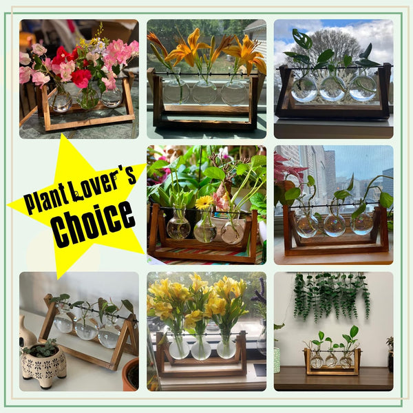 XXXFLOWER Plant Terrarium with Wooden Stand, Air Planter Bulb Glass Vase Metal Swivel Holder Retro Tabletop for Hydroponics Home Garden Office