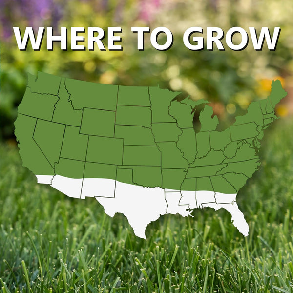 Jonathan Green (10820) Fast Grow Grass Seed - Cool Season Lawn Seed (3 Lb)