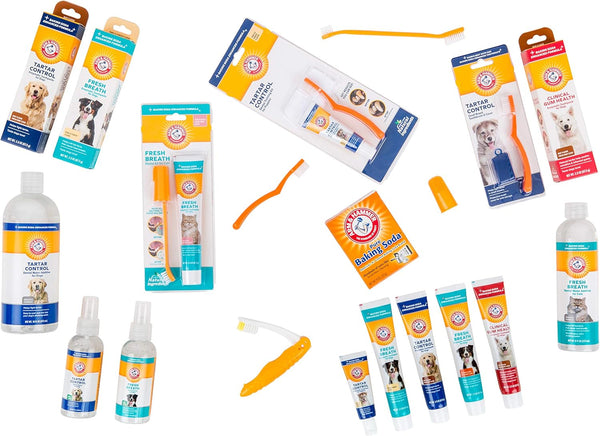 Arm & Hammer for Pets Tartar Control Enzymatic Toothpaste for Dogs Reduces Plaque & Tartar Buildup Safe for Puppies Beef Flavor, 2.5 Ounces Dog