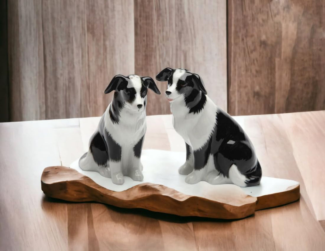 Cosmos Gifts Ceramic Border Collie Salt and Pepper Set, 2-1/2-Inch