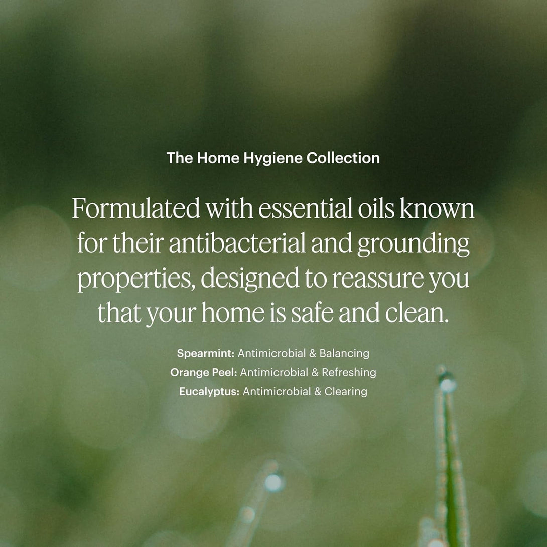 Aera Mini Home Hygiene Mint and Eucalyptus - Essential Oil for Home - Relaxing Fragrance - Notes of Orange Peel, Spearmint and Eucalyptus - Scent Refill - Capsule Size Works with Mini Diffuser