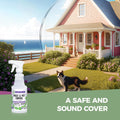 Peppermint Oil Insect & Pest Control Spray â 16Oz Natural Plant-Based Bug Killer for Spiders, Ants, Flies, and Other Insects, Safe for Home &