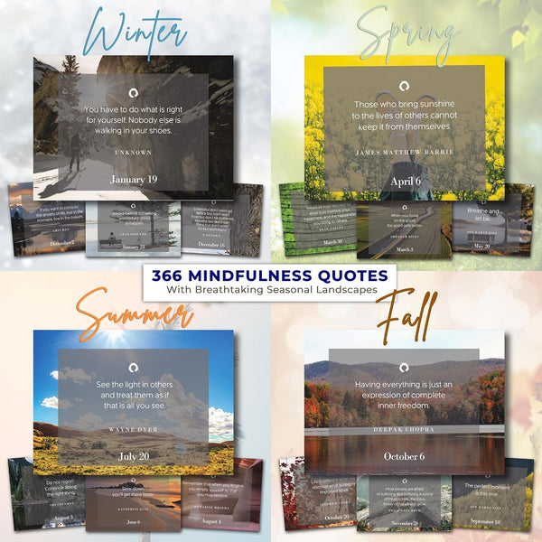 MESMOS 366 Mindfulness Self Care Quotes Daily Motivational Calendar, Inspirational Gifts for Men, Office Decor for Men and Women, Office Gifts