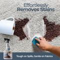 ForcefieldÂ® Fabric Cleaner Professional Strength, Deeply Penetrates Water Safe Fabric & Fibers of Upholstery, Clothing, Rugs & Carpeting - 22Oz