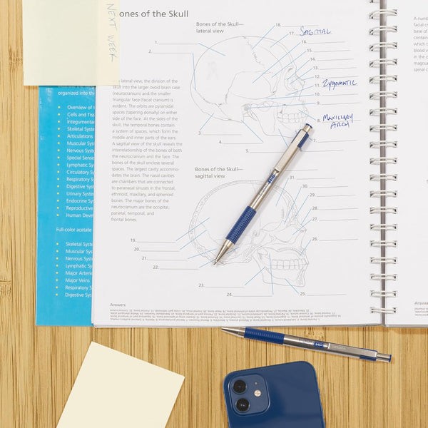 Zebra Pen F-301 Retractable Ballpoint Pen, Stainless Steel Barrel, Fine Point, 0.7Mm, Blue Ink, 2-Pack (27122)