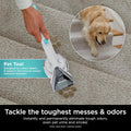 Shark Stainstriker Pro Bundle for All Shark Stainstriker Portable Cleaners, for Carpets & Area Rugs, Instantly Eliminates Odors, 32Oz OXY