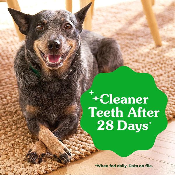 Greenies Original Regular Natural Dental Care Dog Treats, 12 Oz. Pouch (12 Treats)