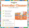 Everyday Cleaner - Multipurpose Cleaner Spray, Kitchen Counter Cleaner, Natural Cleaning Products, Multi-Surface Household Solution, 1 Empty