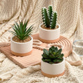 Artificial Succulent Plants in Ceramic Pots, Faux Assorted Succulents Fake Cactus Plants for Home Decor, Bedroom, Office, Desk, Living Room, Set