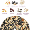 Audubon Park Nut & Fruit Snack Stack Wild Bird Food, Bird Seed Cake for outside Feeders, 6-Pack