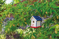Beetle & Bee Paint a Bird Base, Backyard Birdhouse Kit, Bird House Painting Kit for Kids, DIY Arts & Crafts Gardening for Kids & Teens, Boys & Girls