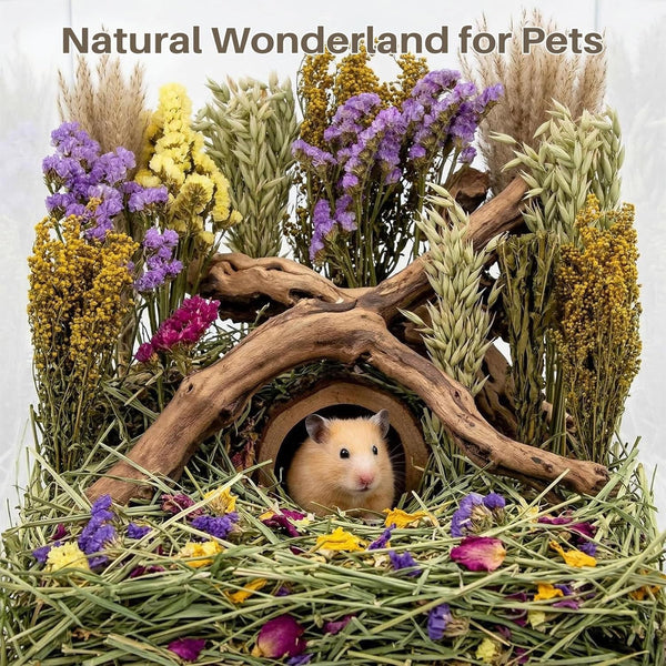 Sukh Herb Bedding Habitat Decor - Natural Flower Hamster Mate Herbs Sprays Cage Safe Pet Accessories Decorations Hideout for Hamsters Mouse Guinea
