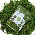 Usmola Fake Moss, Artificial Green Moss for Potted Plants Fairy Garden Accessories, 4OZ (Fresh Green)