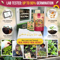 55 Vegetable Seeds Variety Pack - 35,600+ Non-Gmo Heirloom Seeds for Planting Vegetables and Fruits in Individual Seed Packets, Home Garden Seeds
