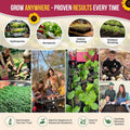 55 Vegetable Seeds Variety Pack - 35,600+ Non-Gmo Heirloom Seeds for Planting Vegetables and Fruits in Individual Seed Packets, Home Garden Seeds