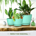 Utopia Home - Plant Pots Indoor with Drainage - 7/6.6/6/5.3/4.8 Inches Home Decor Flower Pots for Indoor Planter - Pack of 5 Plastic Planters for
