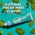 Tom'S of Maine Fluoride-Free Rapid Relief Sensitive Toothpaste, Fresh Mint, 4 Oz. (Packaging May Vary)
