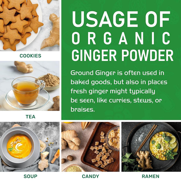 Jiva Organics Organic Ginger Root Powder 1 LB Jar - Gluten Free, Non-Gmo - for Cooking, Baking, Tea & More - Bulk Ginger Ground Dry