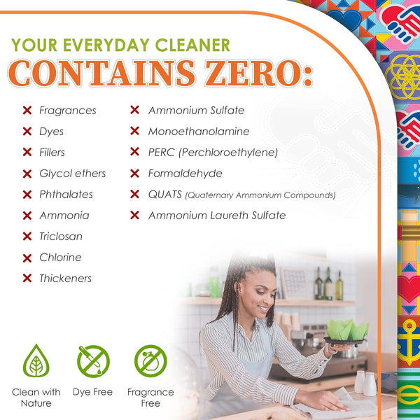Everyday Cleaner - Multipurpose Cleaner Spray, Kitchen Counter Cleaner, Natural Cleaning Products, Multi-Surface Household Solution, 1 Empty