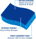 Elitra Essentials Scrubber Sponge, Non-Scratch Hydrophilic Foam Technology - Odor Resistant, Curved Grip, Dual-Sided Foam & Acrylic Grain Surface,
