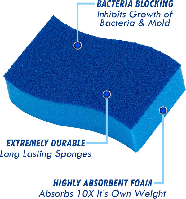 Elitra Essentials Scrubber Sponge, Non-Scratch Hydrophilic Foam Technology - Odor Resistant, Curved Grip, Dual-Sided Foam & Acrylic Grain Surface,